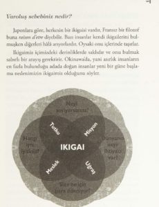 Ikigai - Japonlarin Uzun ve Mutlu Yasam Sirri ic 2