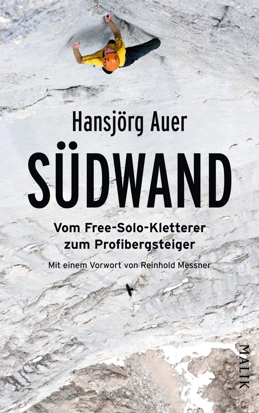 Südwand 1