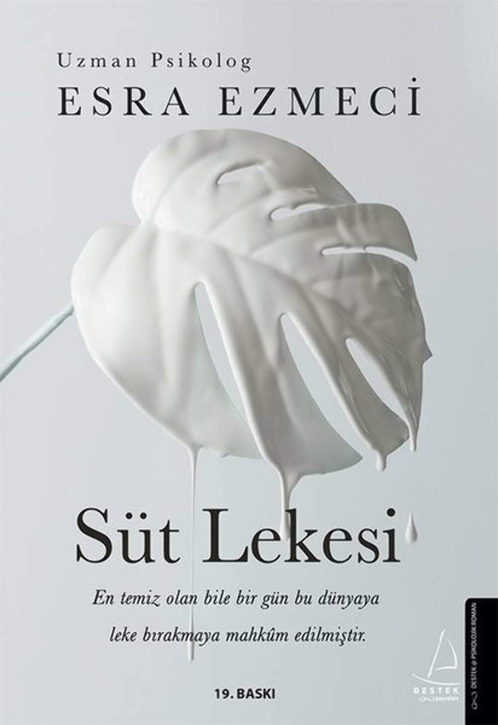 Süt Lekesi